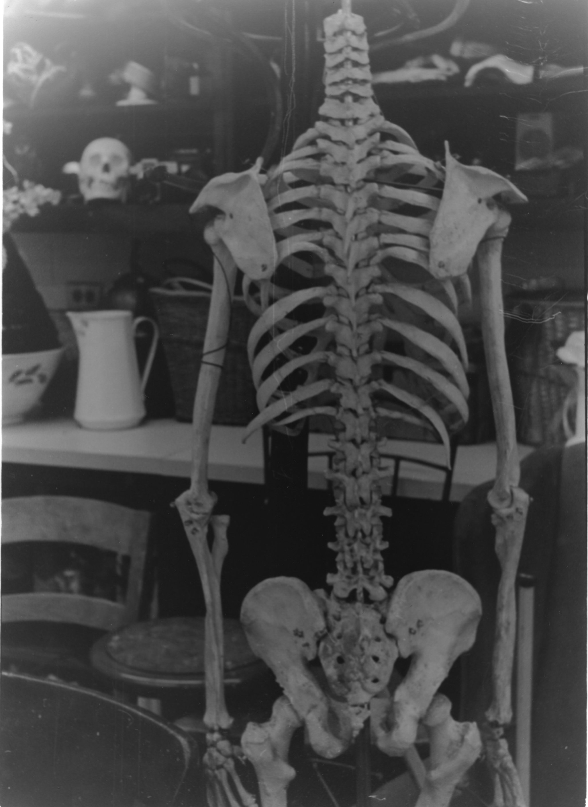 ArtGallery Skeleton Photo.jpg