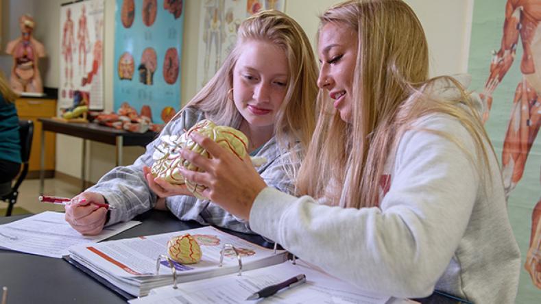 Two students reviewing textbooks and classroom objects