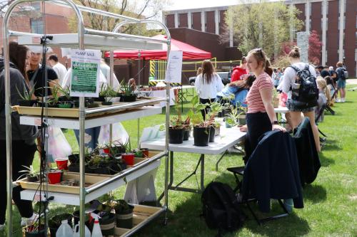 Courytard Carni Plant Sale table.jpg