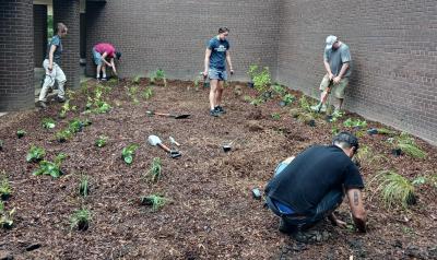 Viterbo pollinator garden