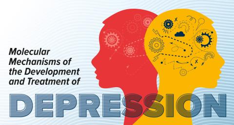 Tan Symposium Depression.jpg Tan Symposium Depression.jpg