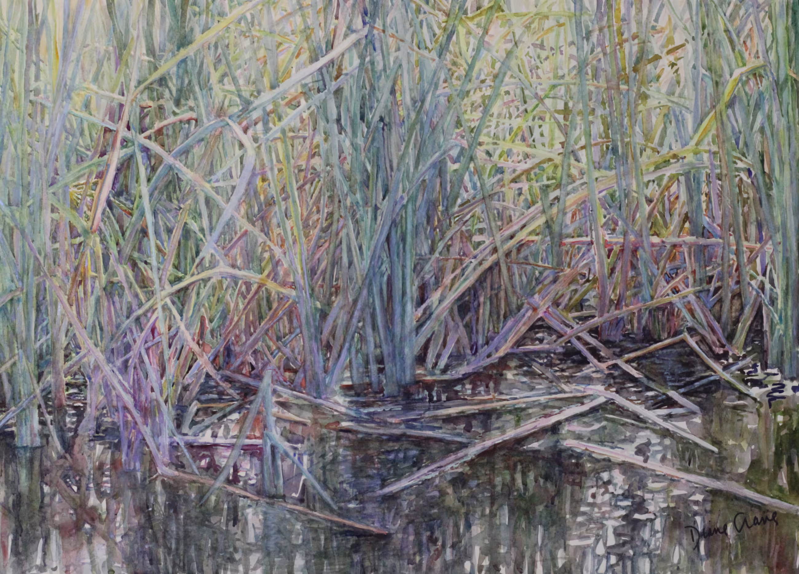 Realistic painting of a cattail pond