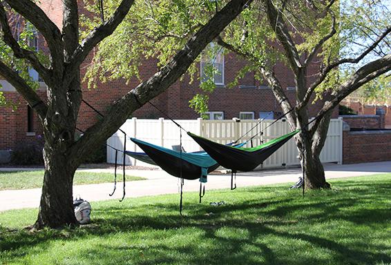 Hammocks